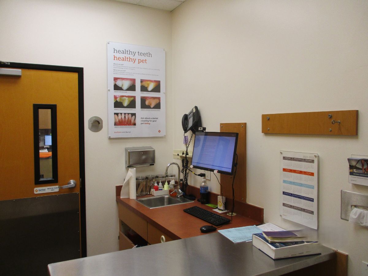 The Banfield - Metairie exam room and exam table