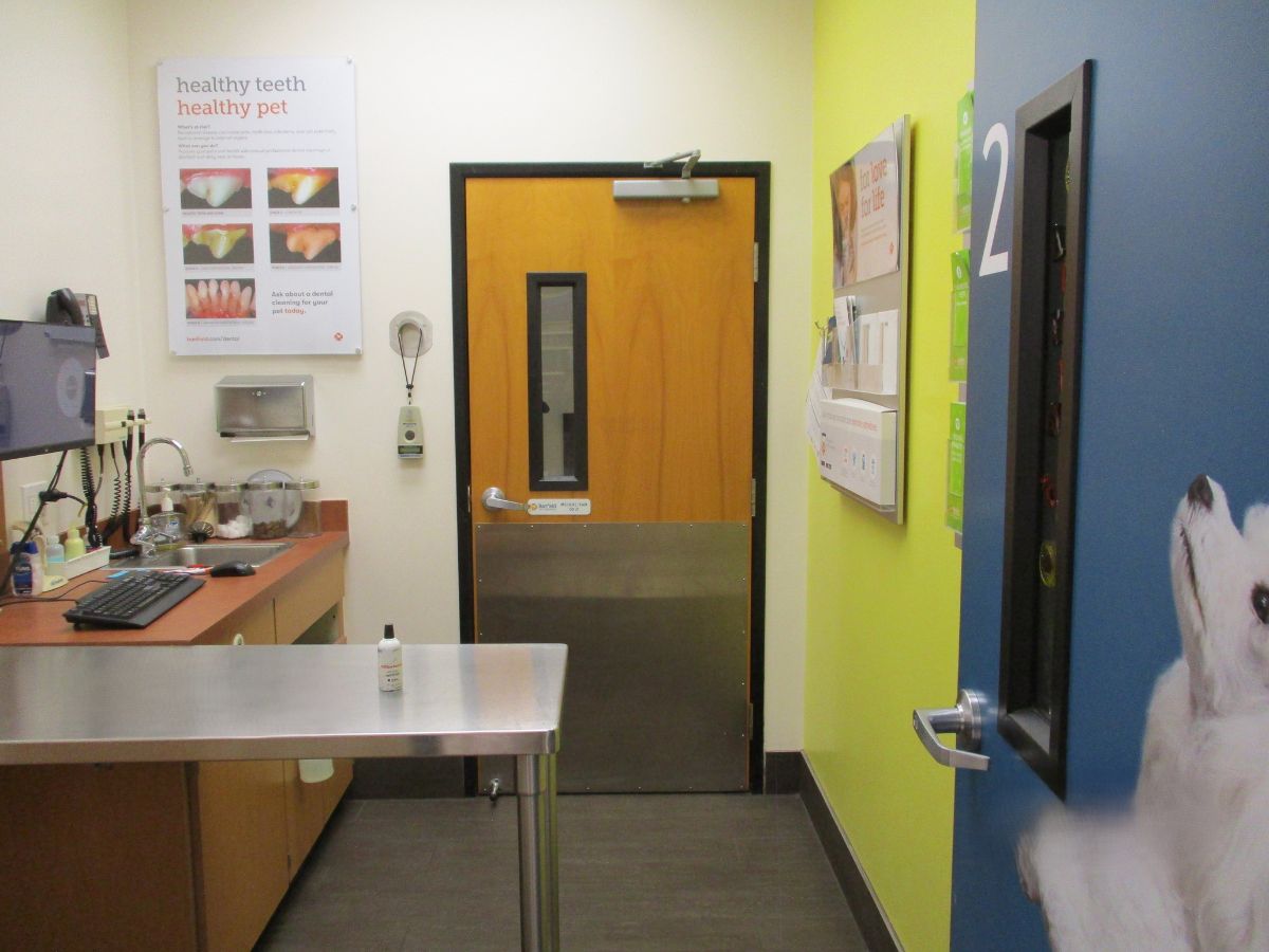 Another view of the Metairie Banfield exam room and folding table