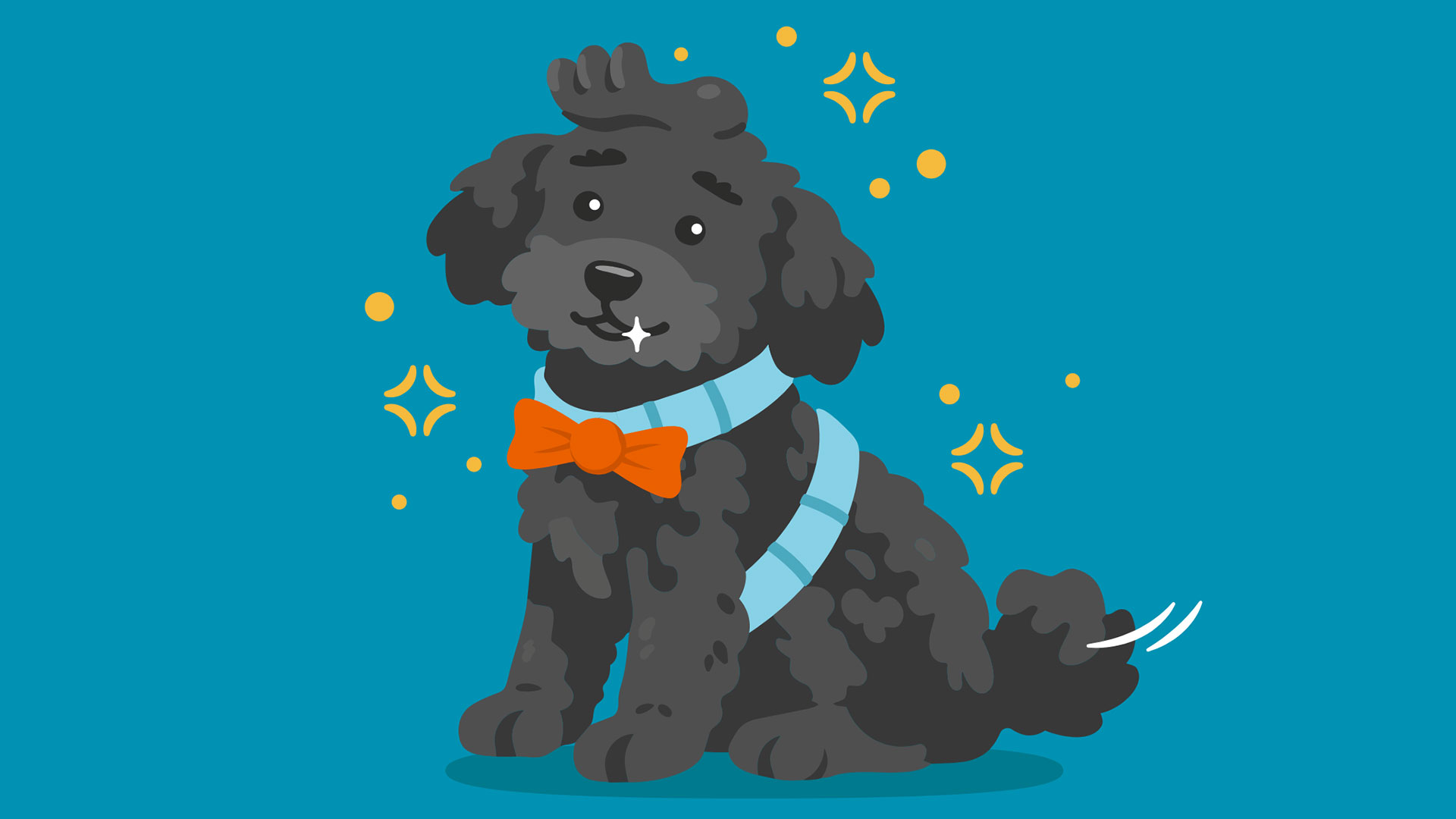 An illustration of a fluffy black puppy against a teal background