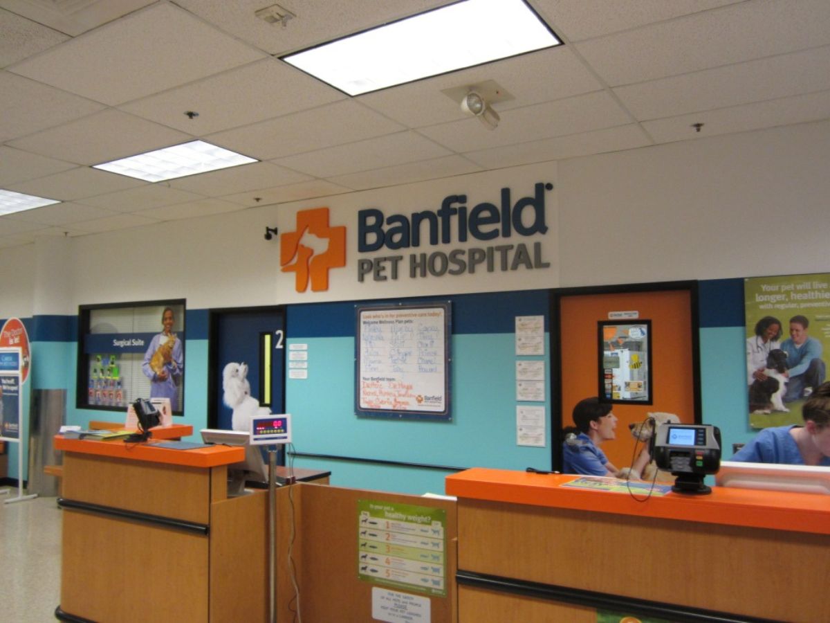 The front desk inside the Bethesda Banfield hospital