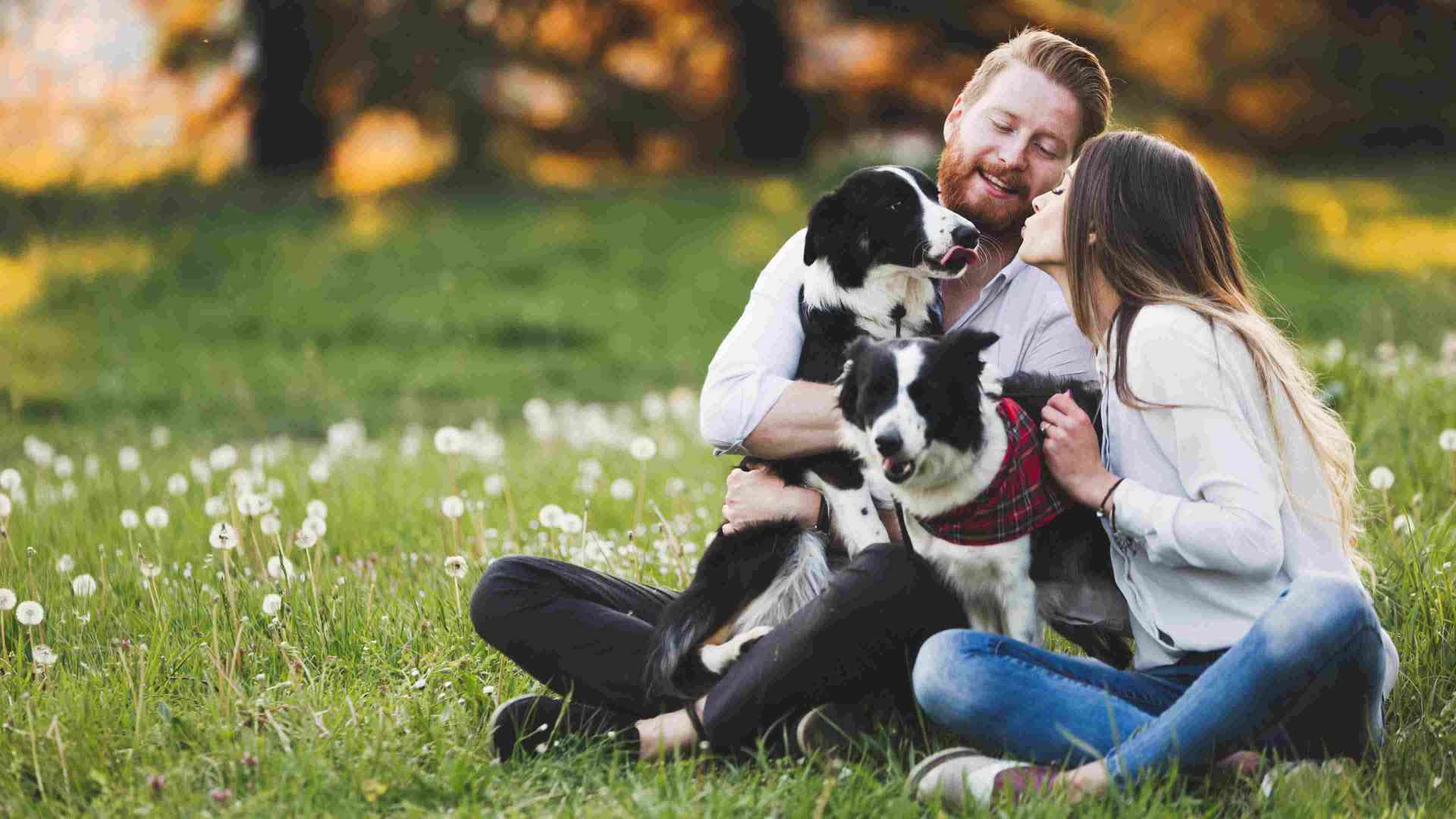 A man and woman sitting with their dog in a park
