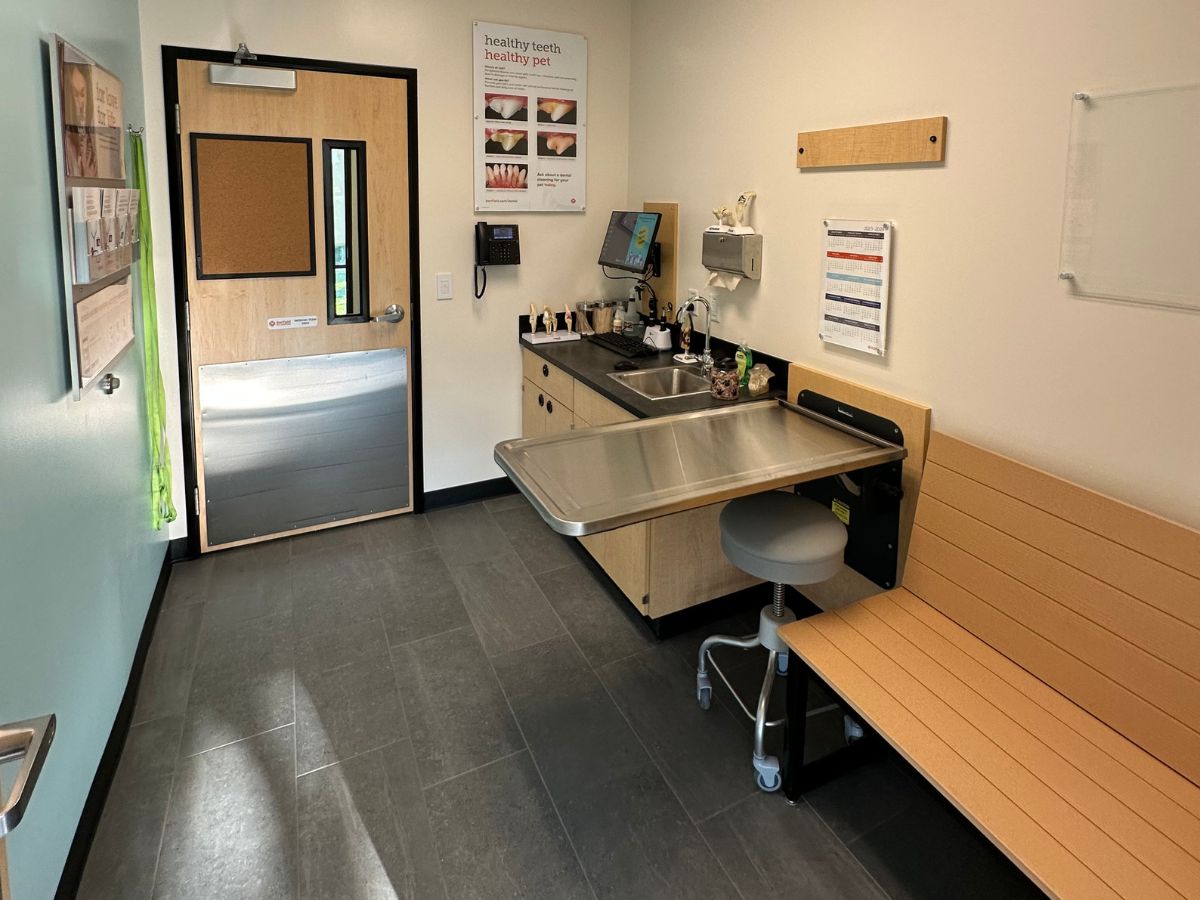One more view of the Salisbury Banfield exam room