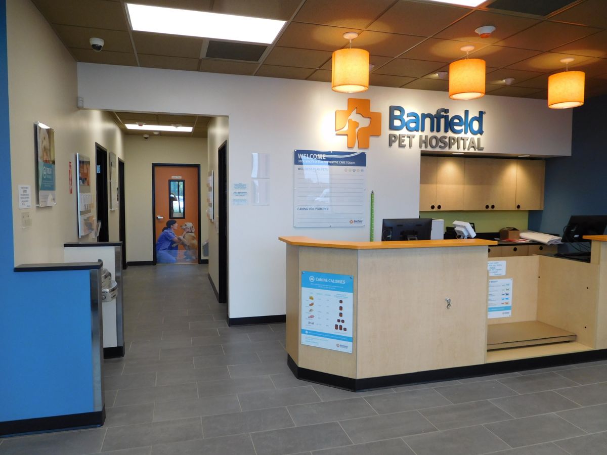 The front desk and check in at the Banfield - Rockville Travilah Square hospital