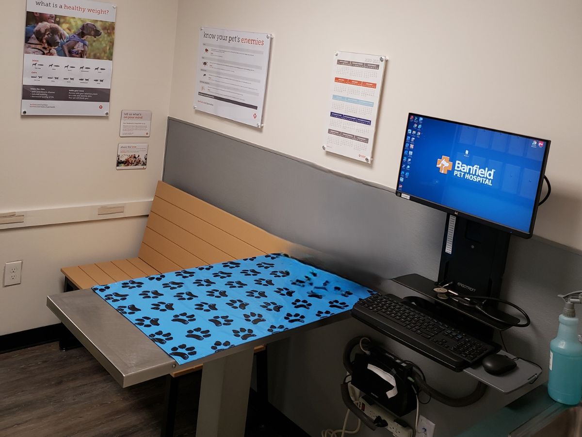 The Mercy Banfield exam room and folding table