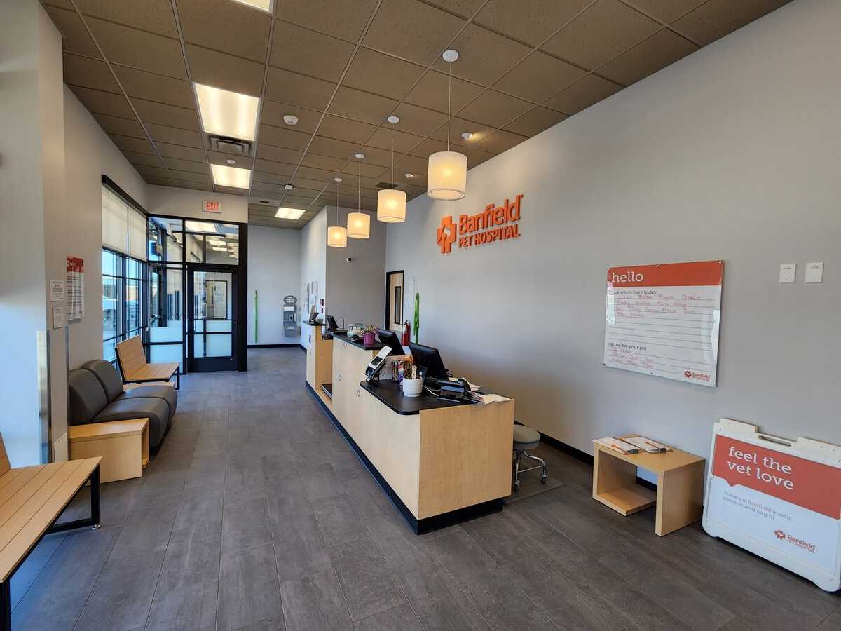 The front lobby and check-in area at the Jordan Landing Banfield hospital