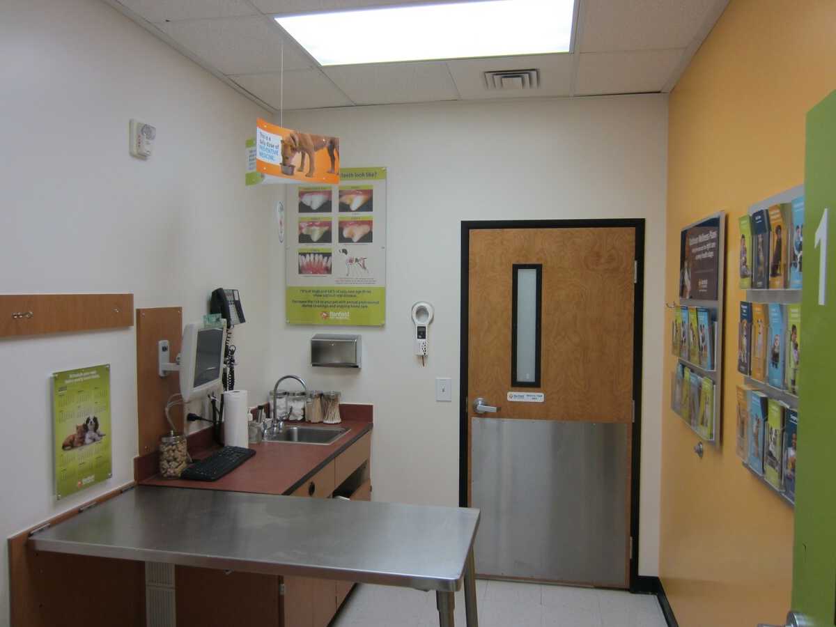 A view inside a Banfield - Las Vegas Durango exam room