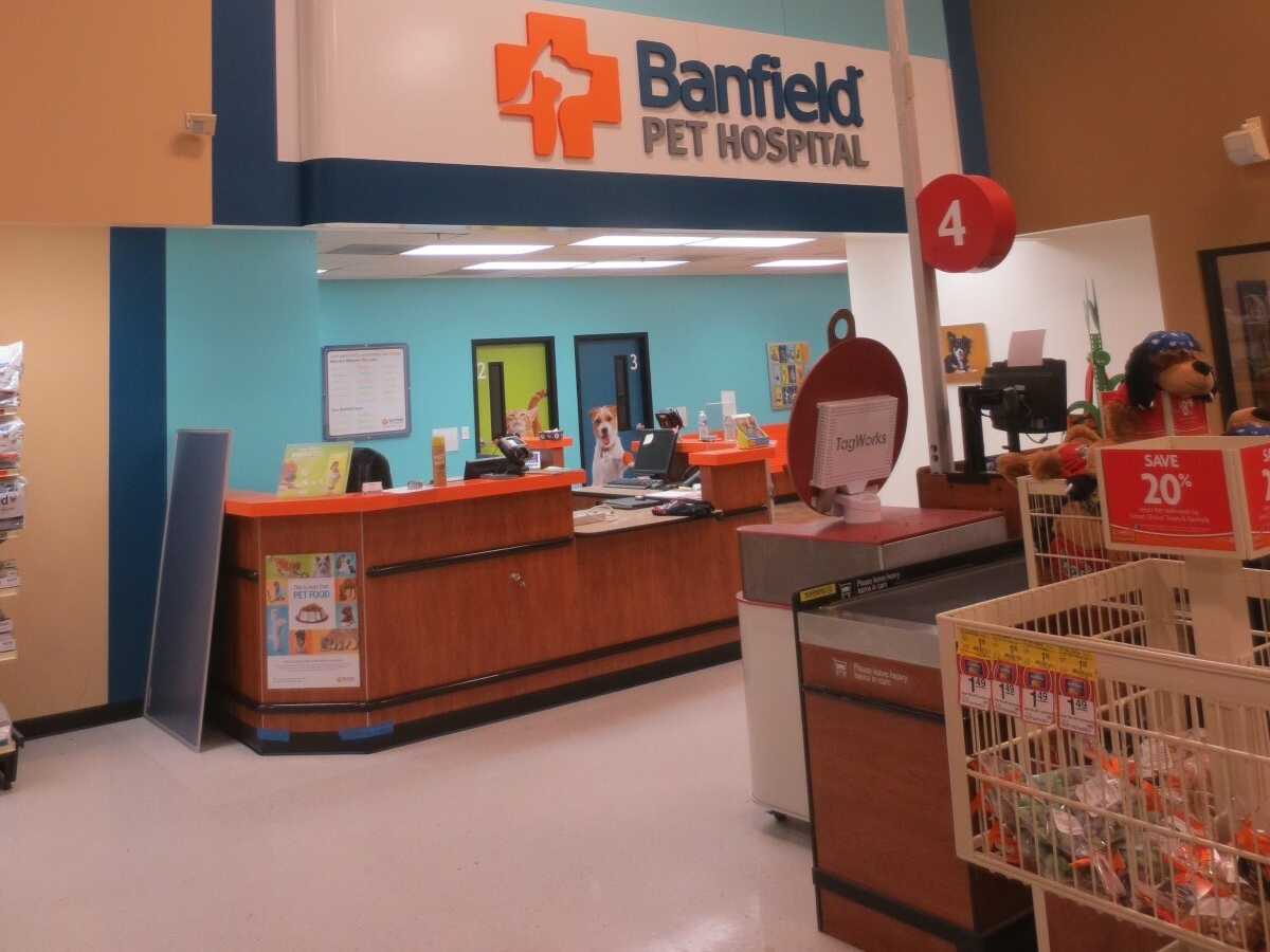 The Banfield - Las Vegas Rainbow front desk and check-in area