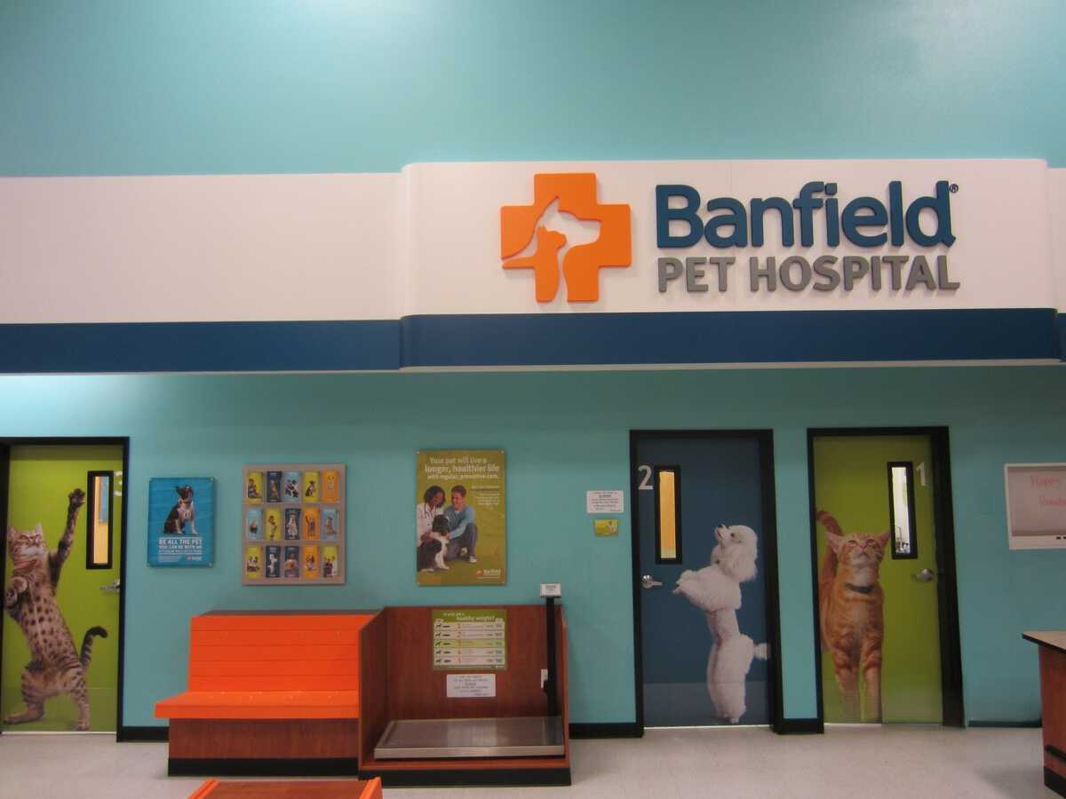 The Summerlin Banfield exam room doors