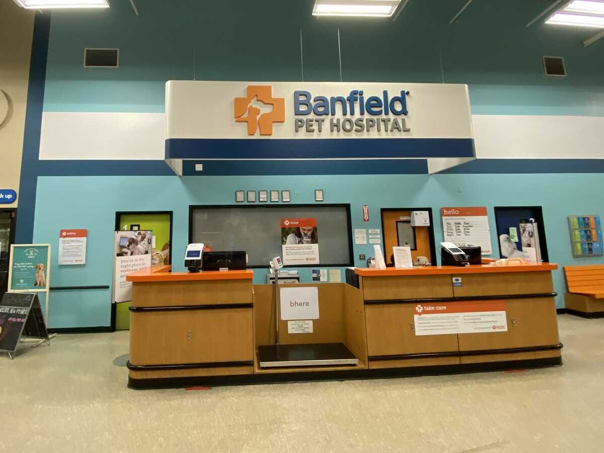 The Spring Valley Banfield hospital check-in area