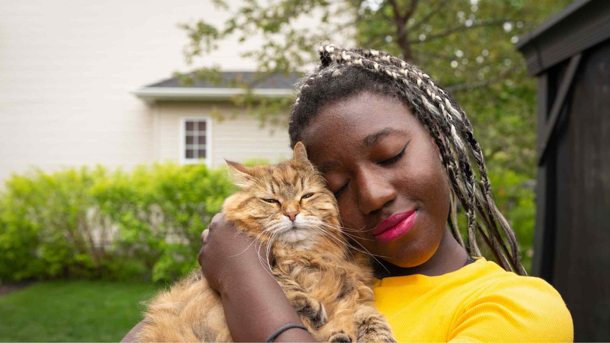 A shaggy orange cat being held by their owner