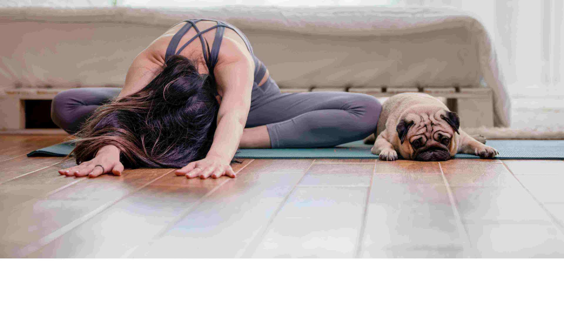 Yoga with a dog