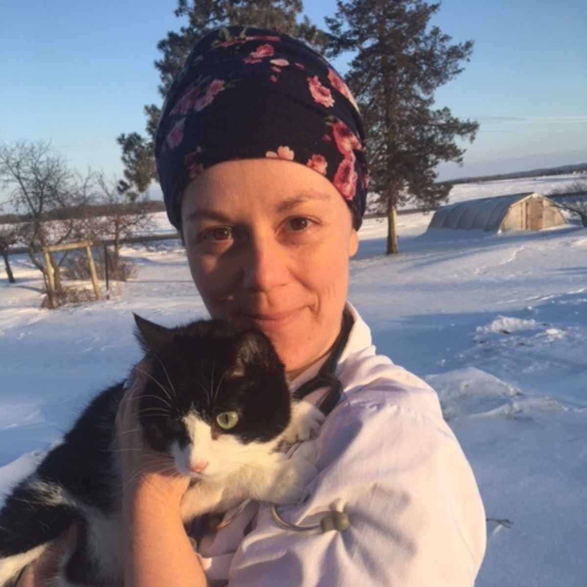 Profile picture of Laura Willenbring, DVM, Veterinarian