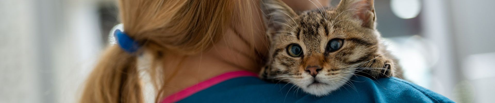 A Banfield veterinary professional holding a kitten