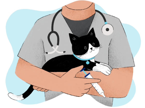 Illustration of a Banfield veterinary professional holding a black and white cat