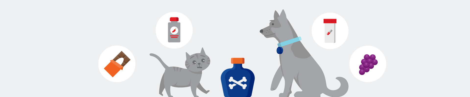 Illustration of a cat and dog by poisons