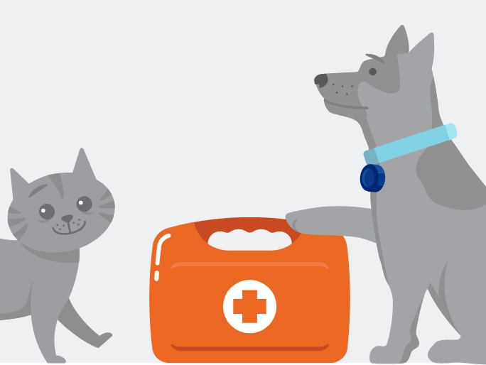 Illustration of a cat and dog sitting by a first aid kit
