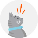 Illustration of a scared cat looking up in the air