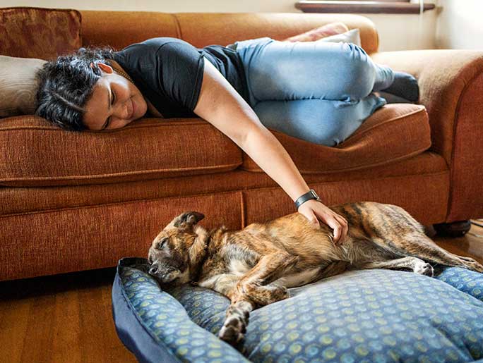 An older dog laying by its owner