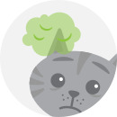 Illustration of a cat with an infected ear