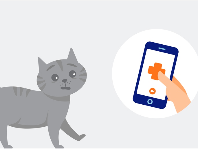 Illustration of a cat looking at a phone