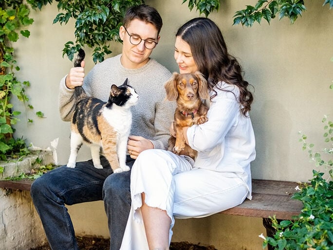 A cat and dog being held by their owners