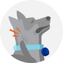Illustration of a dog scratching the side of their face 